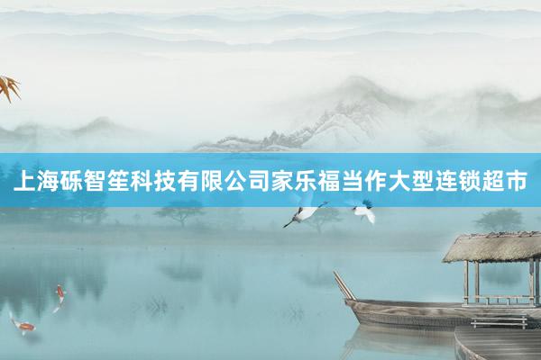 上海砾智笙科技有限公司家乐福当作大型连锁超市