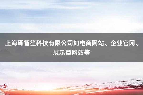 上海砾智笙科技有限公司如电商网站、企业官网、展示型网站等