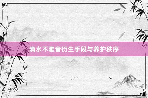滴水不雅音衍生手段与养护秩序