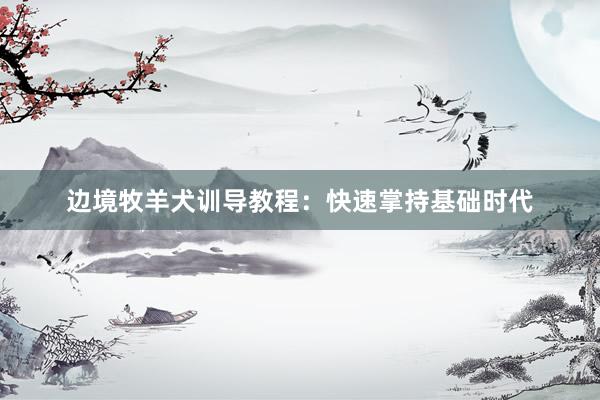 边境牧羊犬训导教程：快速掌持基础时代