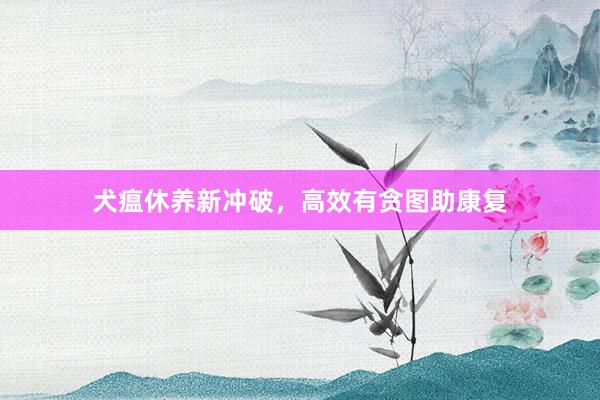 犬瘟休养新冲破,高效有贪图助康复